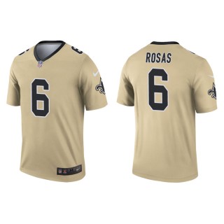 Men's New Orleans Saints Aldrick Rosas #6 Gold Inverted Legend Jersey