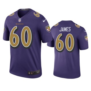 Baltimore Ravens Ja'Wuan James Purple Color Rush Legend Jersey