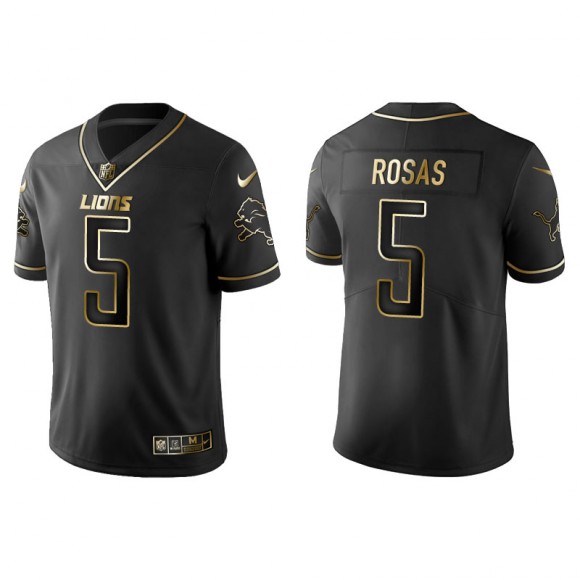 Men's Detroit Lions Aldrick Rosas Black Golden Edition Jersey