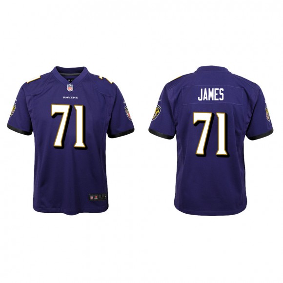 Youth Baltimore Ravens Ja'Wuan James Purple Game Jersey
